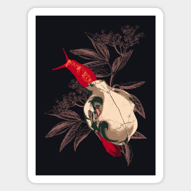 Enigmatic Escargots: Spooky Art Print Featuring Red Snail Donning Cat Skull Shell Magnet by venglehart